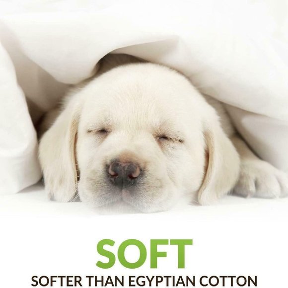 Cosy House Collection Luxury Bamboo Bed Sheet Set - Picture 2 of 5